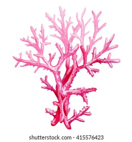 Nautical Watercolor Clipart. Watercolor Coral