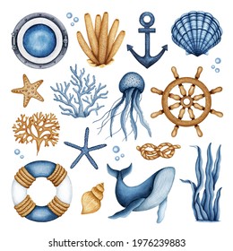 Nautical watercolor set. Travel Ship Equipment - Lifebuoy, Steering wheel, Porthole, Anchor, Rope Knot. Sea life - Seaweed, Coral, Jellyfish, Whale, Seashell. Hand drawn maritime elements isolated
