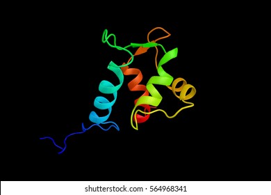 NaV1.5, An Integral Membrane Protein And Tetrodotoxin-resistant Voltage-gated Sodium Channel Subunit. Found Primarily In Cardiac Muscle. 3d Rendering.