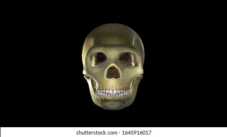 Neanderthal Skull, 3d-image Archaeology, La Chapelle Aux Saints, Reconstruction, Front View