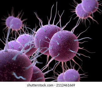 Neisseria Gonorrhoeae, The Bacterium Responsible For The Sexually Transmitted Infection Gonorrhea. 3D Illustration