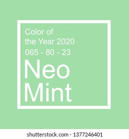 Neo Mint Color
