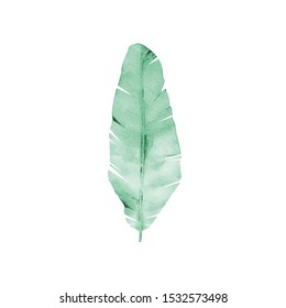 Neo Mint Leaf. Watercolour Illustration Isolated On White Background.