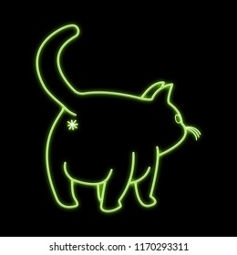 Neon Cat Butt Green