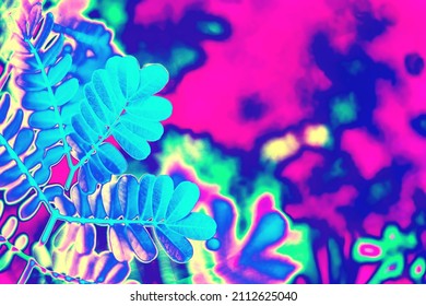 Neon Pink And Mint Tropical Leaves Background Texture. Futuristic Surreal Solarized Vaporwave Plants Pattern. Abstract Pixelated Art. Night Club Jungle Psychedelic Summer Party Flyer With Copy Space