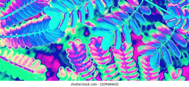 Neon Pink, Purple, Green Colored Tropical Leaves Banner Background Texture. Futuristic Surreal Solarized Vaporwave Plants Pattern. Abstract Pixelated Night Club Jungle Psychedelic Summer Party Flyer