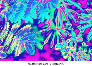 Neon Pink, Purple, Green Colored Tropical Leaves Background Texture. Futuristic Surreal Solarized Vaporwave Plants Pattern. Abstract Pixelated Art. Night Club Jungle Psychedelic Summer Party Flyer