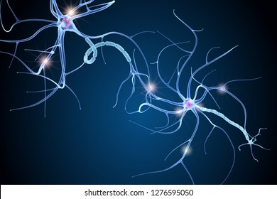 Nerve Cell Anatomy In Details. 3D Illustration