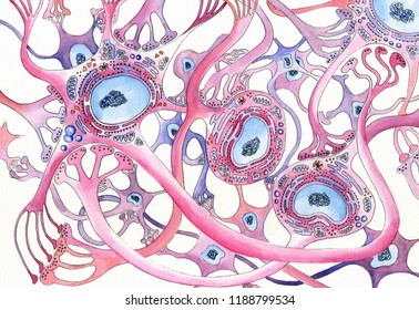 nerve cells group together to form nerve