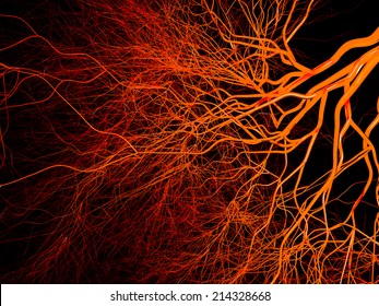 Nervous Or Blood System.  Medical Illustration