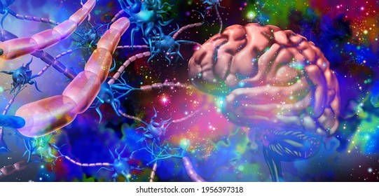 Nervous System Neurology And Brain Nerve Cells Anatomy Concept As Human Neuron Disorder Symbol For Multiple Sclerosis Or Alzheimer Disease Or Psychedelics Science And With 3D Illustration Elements.