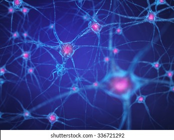 Neural network , Brain cells , Human nervous system , Neurons