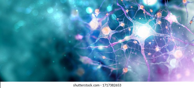 Neural network. Human nervous system background with copy space (3d microbiology render banner) 