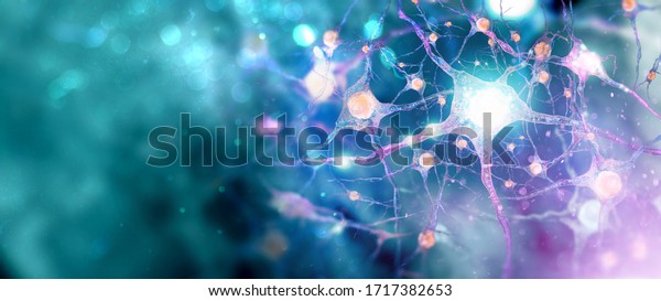 Neural network. Human\
nervous system background with copy space (3d microbiology render\
banner) 
