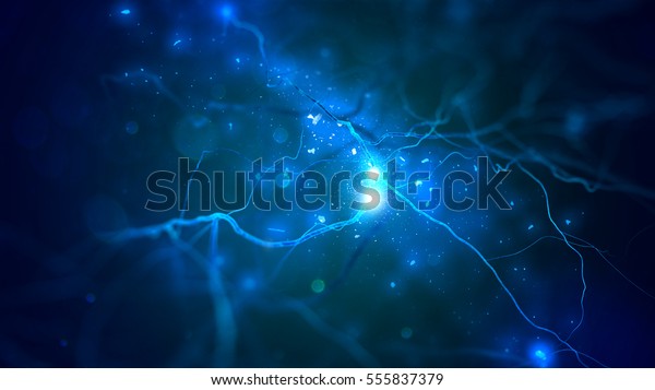 Neural
network Human nervous system (3D
illustration)