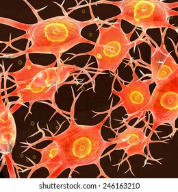 Neural Tissue