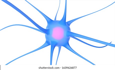 Neuron Isolated On White Background. Nerve Cell. Neurons. Neural Network Background. 3D-rendering.