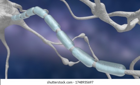 Neuron Myelin Closeup 3D Render 