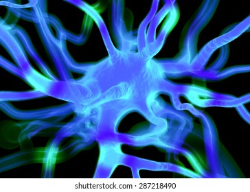 Neuron or nerve cells which form part of the nervous system which process and transmit information by electrical and chemical signalling.