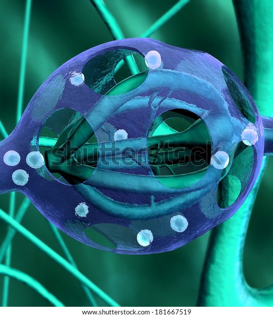 Neuron, Neurons and neural system, Active nerve\
cell in human neural system, Neuron Impulses, Neuron cells, 3d\
rendered video of a neuron cell network flight through, Urinary\
System