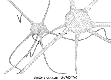 Neuron System Wireframe Mesh Model. Low Poly 3d Render Illustration. Science And Medical Healthcare Concept