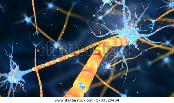 Neuronas and\
Synapse 3D render. Neuronal activity in the brain, neural network,\
neuroactivity, synapses, dendrid, neurotransmitters, myelin,\
Schwann cells, brain, axons.\
