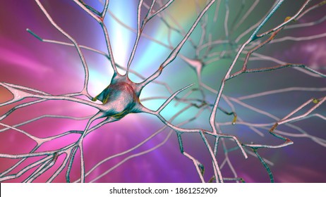 Neurons, 3D illustration showing brain cells located in the temporal cortex of the human brain in Brodmann area 20. They are involved in high-level visual processing and recognition memory