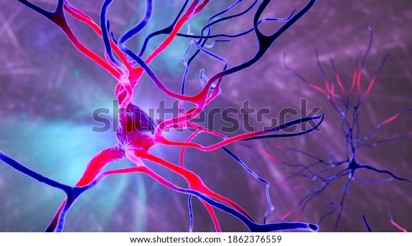 Neurons, 3D\
illustration showing brain cells located in the precentral gyrus of\
the frontal cortex of the human brain. They control movements of\
the contralateral side of the\
body