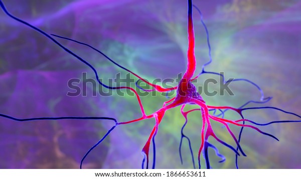 Neurons, 3D\
illustration showing brain cells located in the precentral gyrus of\
the frontal cortex of the human brain. They control movements of\
the contralateral side of the\
body