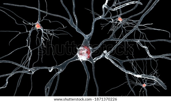 Neurons, 3D
illustration showing brain cells located in the precentral gyrus of
the frontal cortex of the human brain. They control movements of
the contralateral side of the
body
