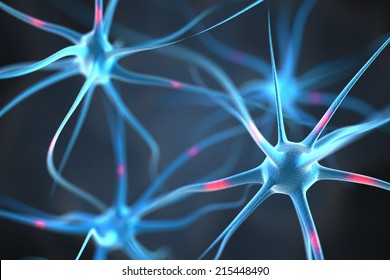 Neurons in the brain