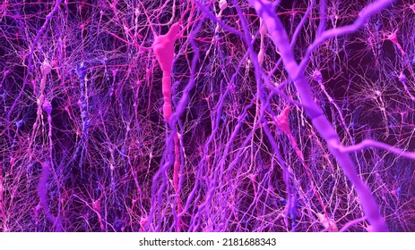 6,304 Brain addiction Images, Stock Photos & Vectors | Shutterstock