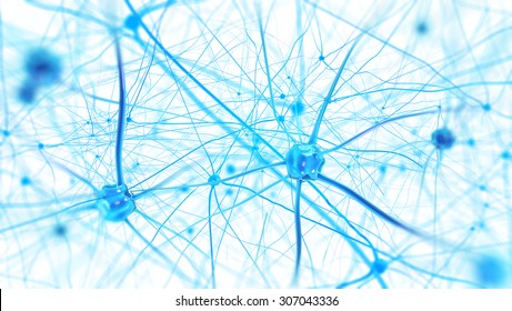 Neurons In The Brain On White Background