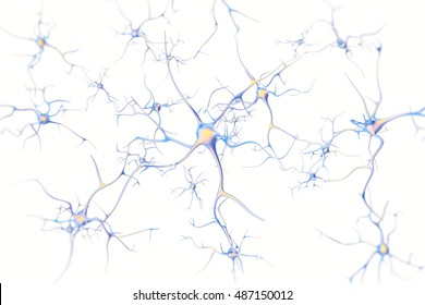 Neurons in the brain on white background with focus effect. 3d rendering