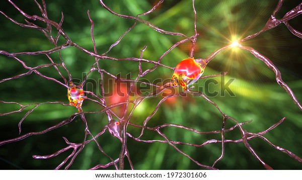 Neurons of Dorsal striatum, 3D illustration. The\
dorsal striatum is a nucleus in the basal ganglia, degrading of its\
neurons plays a crucial role in the development of Huntington\'s\
disease
