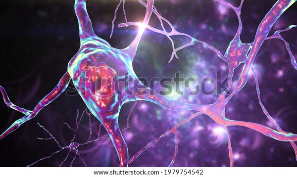 Neurons of Dorsal striatum, 3D illustration. The
dorsal striatum is a nucleus in the basal ganglia, degrading of its
neurons plays a crucial role in the development of Huntington's
disease