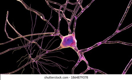 Neurons isolated on black background, 3D illustration showing brain cells located in the temporal cortex of the human brain in Brodmann area 20. They are involved in high-level visual processing