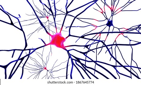 Neurons isolated on white background, 3D illustration showing brain cells located in the temporal cortex of the human brain in Brodmann area 20. They are involved in high-level visual processing