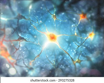 Neurons and nervous system.  3d render of nerve cells