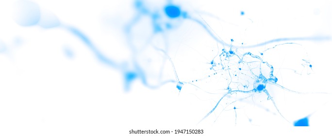 Neurons and nervous system. Nerve cells background with copy space on white  (3d microbiology render banner)
