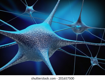 Neurons and neural connection