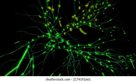 Neurons and neural connections, concept of science and medicine. Motion. Visualization og neuronal activity in the brain, neurogenesis, neurotransmitters, electricity in the brain, synapses.