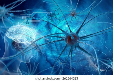 Neurons - Synapse In Human Neural System