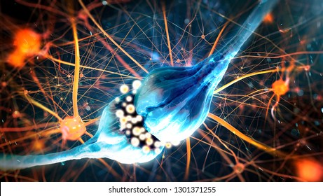 Neurotransmission In The Synapse. Neurons And Nervous System (3d Illustration)