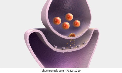 Neurotransmitter 3d Illustration