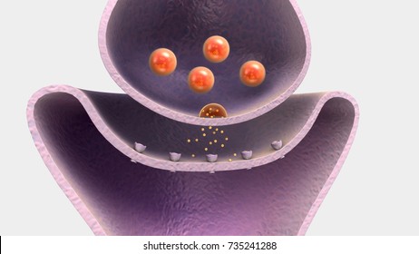 Neurotransmitter 3d Illustration