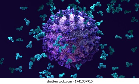 Antibodies work To Neutralize SARS-CoV-2 By Binding To The S Protein And Blocking Entry (ACE2)  into A Host Cells. 3d Illustration