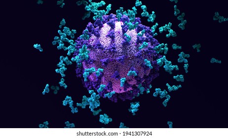 Antibodies work To Neutralize SARS-CoV-2 By Binding To The S Protein And Blocking Entry (ACE2)  into A Host Cells. 3d Illustration