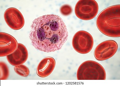 5,833 Neutrophil Images, Stock Photos & Vectors | Shutterstock