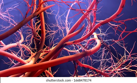 New blood vessel formation, 3d illustration